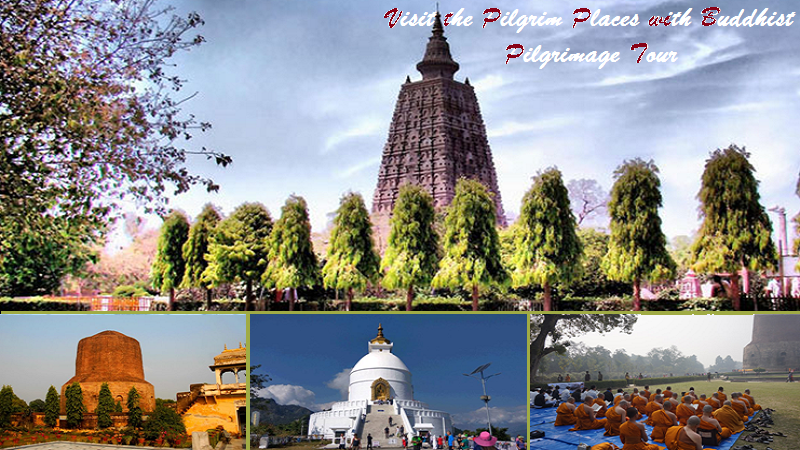 buddhist pilgrimage tour packages